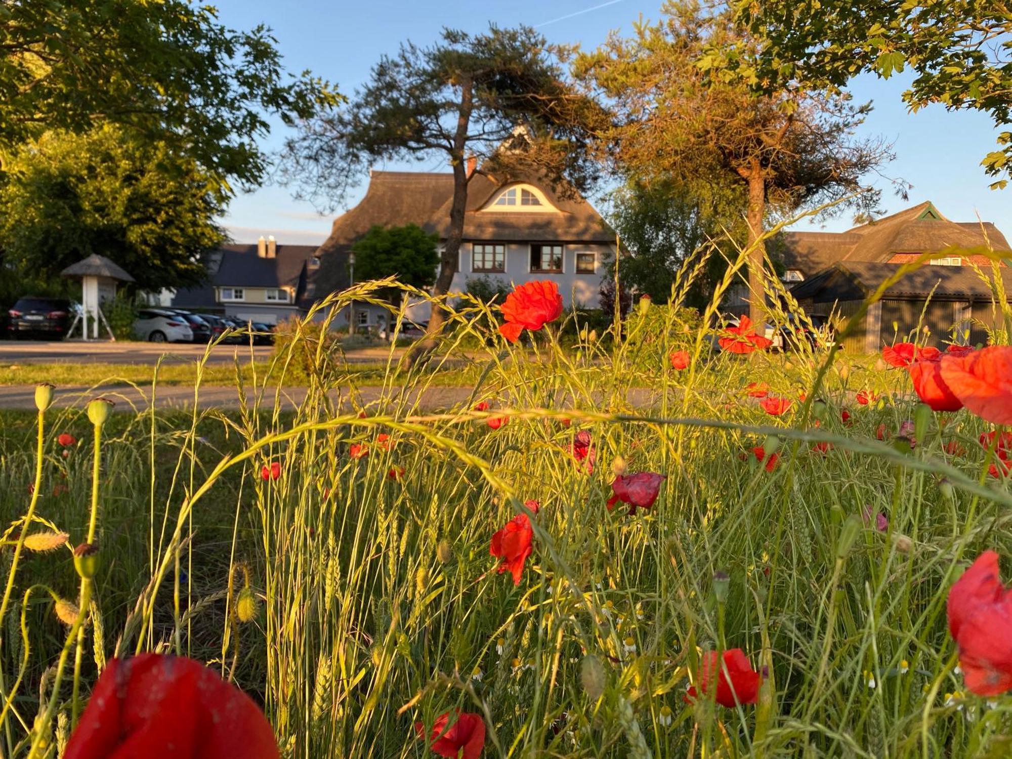 Landhaus Esperort Ahrenshoop Exterior foto