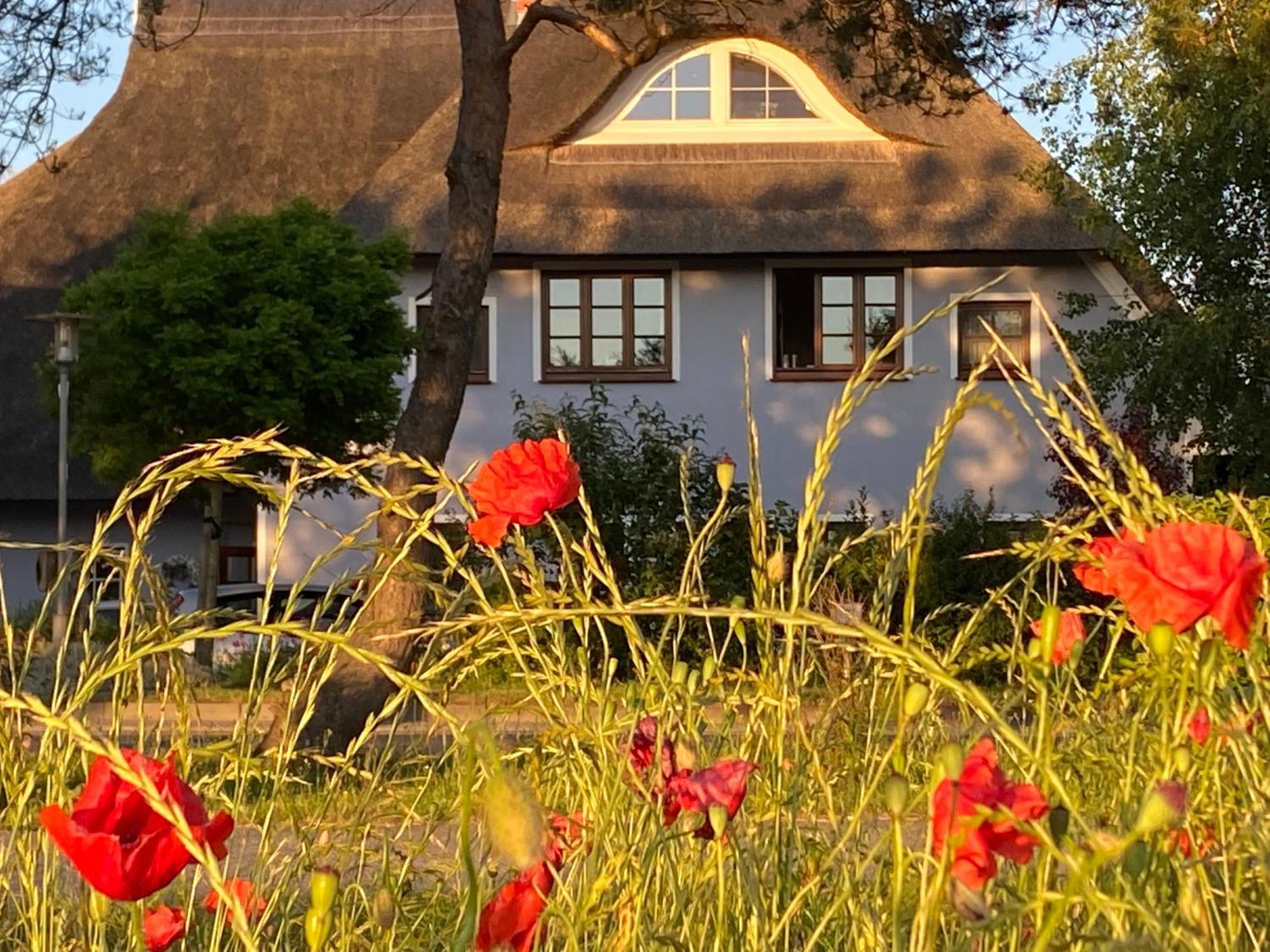 Landhaus Esperort Ahrenshoop Exterior foto